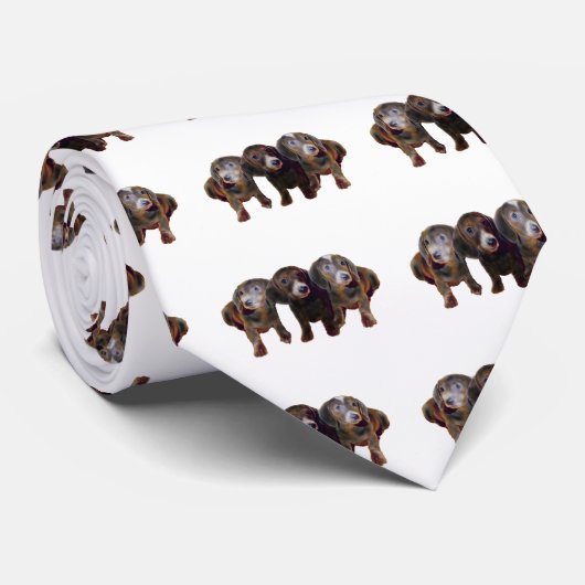 Cravate Trois Chiens Dachshund (Roulé)