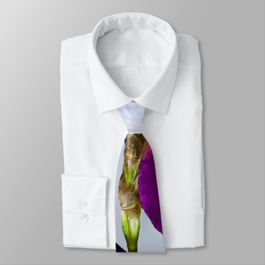 Cravate Trois Irlandais dans les nuances de Magenta (Attaché)