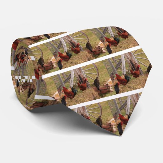 Cravate Trois poulets et un chat (Roulé)