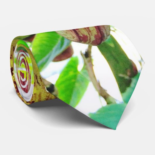 Cravate tropicale de fleurs (Roulé)