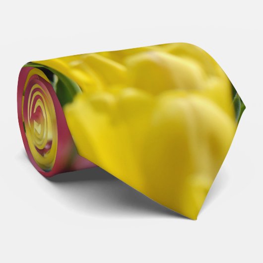 Cravate Tulipes (Roulé)