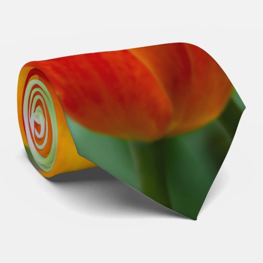 Cravate Tulipes orange vif dans le parc (Roulé)