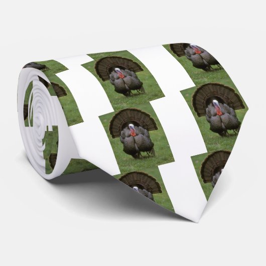 Cravate Turquie (Roulé)