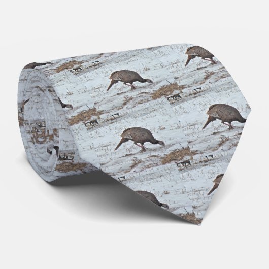 Cravate Turquie sauvage en terrain neigeux (Roulé)