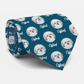 Cravate Turquoise Malshi (Roulé)