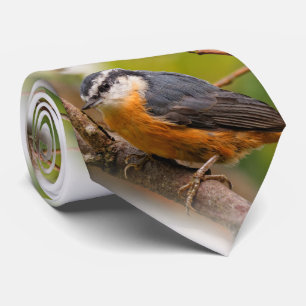 Cravate Un Nuthatch à poitrine rouge sceptique
