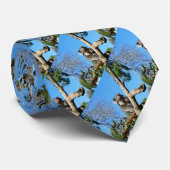 Cravate Un Ours Koala Réfléchi Dans Un Arbre, (Roulé)