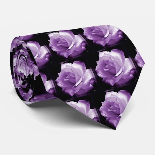 Cravate Un rose pourpre… (Roulé)