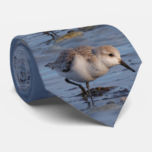 Cravate Un Sanderling