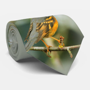 Cravate Une Belle Grive Étonnante Mais Sûre Variée