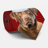 Cravate Vacances Chesapeake Retriever Chien Plaid Noël (Roulé)