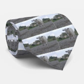 Cravate Vache (Roulé)