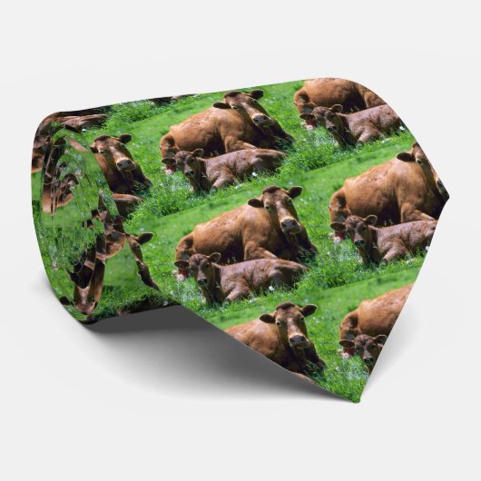 Cravate Vache et veau (Roulé)