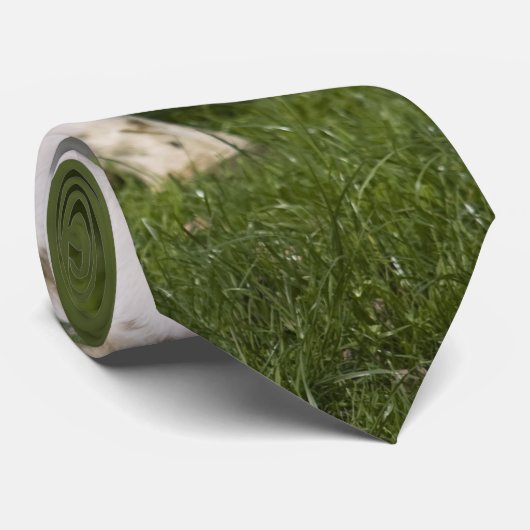 Cravate Vache frisonne (Roulé)