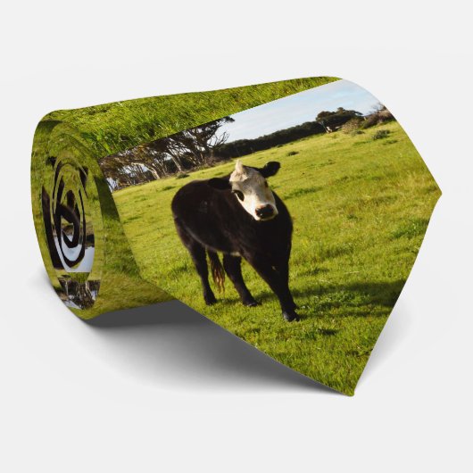 Cravate Vache Noire À Visage Blanc Et Mohawk, (Roulé)