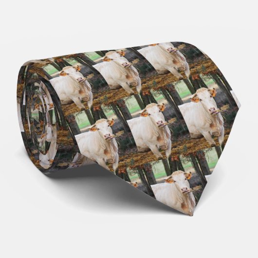 Cravate Vaches (Roulé)