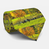 Cravate Vaches ceinturées à Galloway à la ferme de (Roulé)