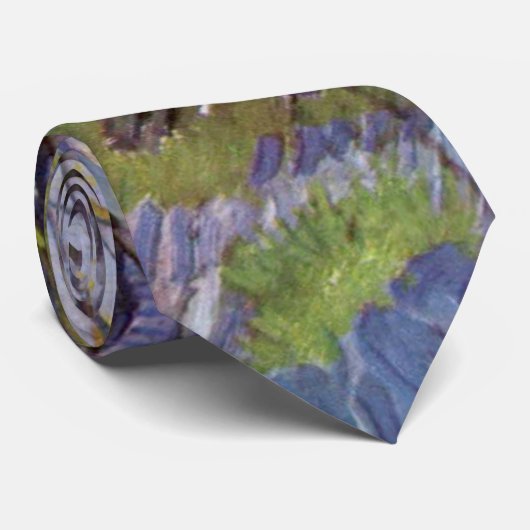 Cravate Van Gogh Vue Arles Jardin Fleuri (Roulé)