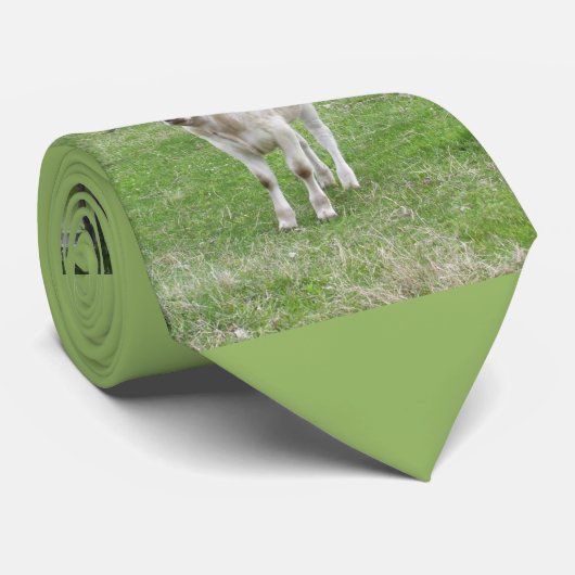 Cravate Veau blanc (Roulé)