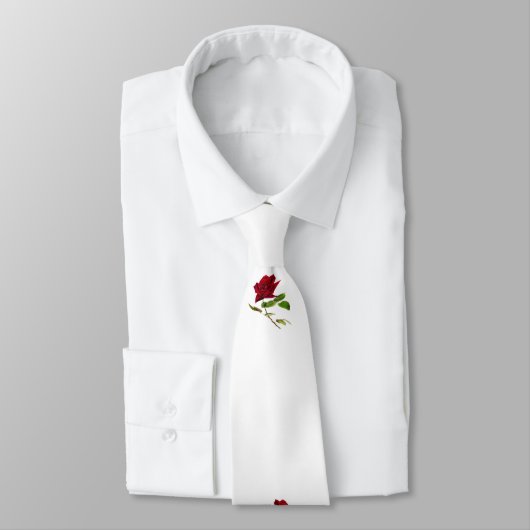 Cravate Verset biblique (Attaché)