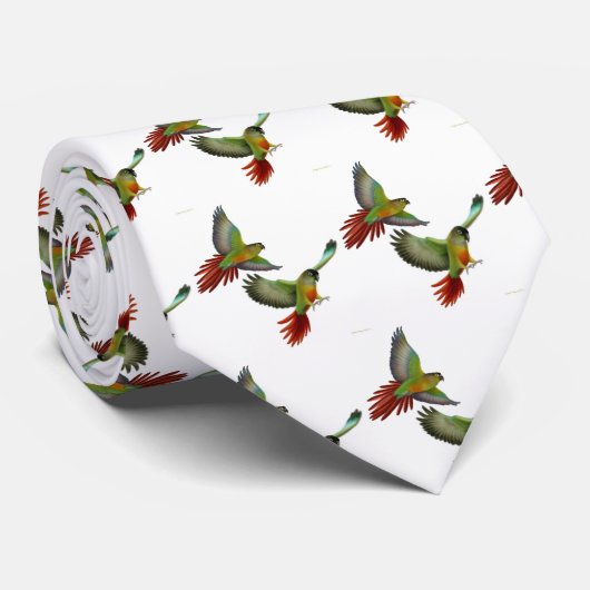 Cravate verte de Cheeked Conures (Roulé)