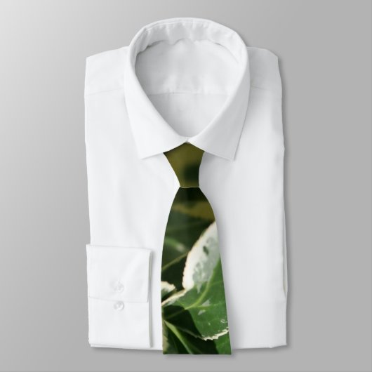 Cravate verte modifiée (Attaché)