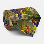 Cravate Vins de raisins Vignoble temps de récolte (Roulé)