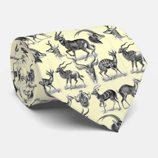 Cravate Vintage Haeckel (Roulé)