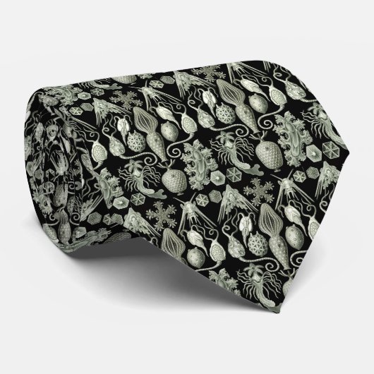 Cravate Vintage Haeckel négatif (Roulé)
