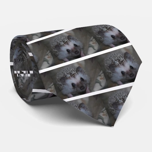 Cravate Visage de hérisson (Roulé)