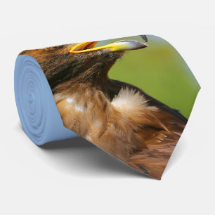 Cravate Vision d'un bel aigle d'or jeune