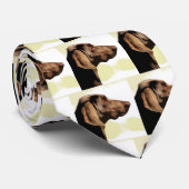 Cravate Vizsla (Roulé)
