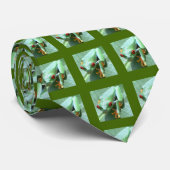 Cravate Voici Les Grenouilles (Roulé)