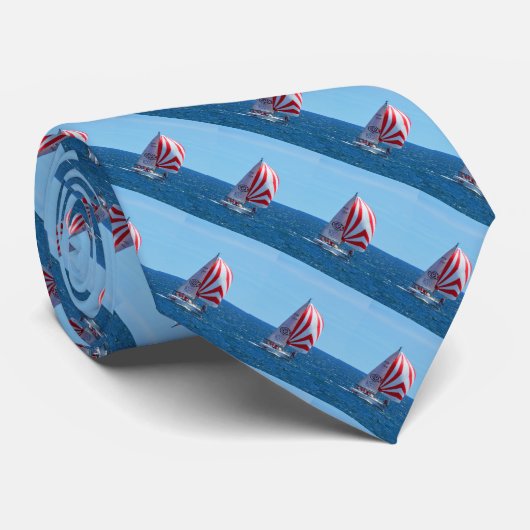 Cravate Voile (Roulé)