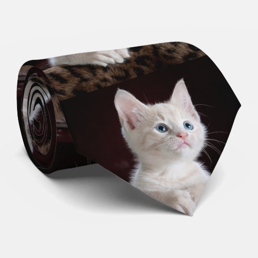 Cravate Votre photo personnalisée (Roulé)