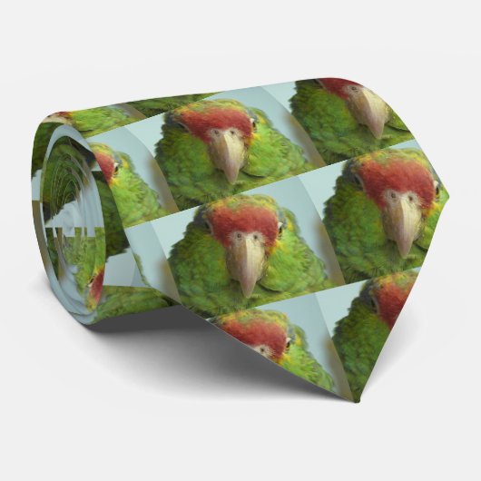 Cravate vue de face de perroquet (Roulé)