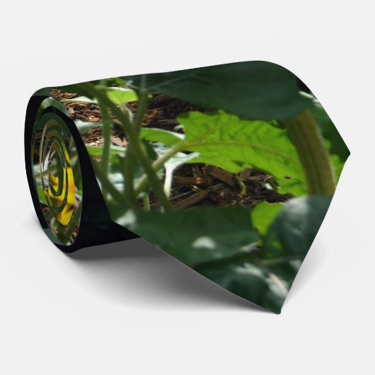 Cravate Vue jardin, marguerites, cosmos, tournesols, maman (Roulé)