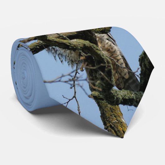 Cravate Vue sur un faucon pèlerin majestueux (Roulé)