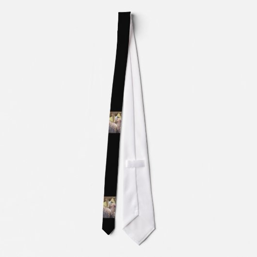 Cravate Vulture and Hyena (Dos)