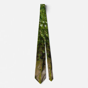 Cravate Wall Of Ivy Neck Tie