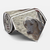 Cravate Weimaraner magnifique (Roulé)