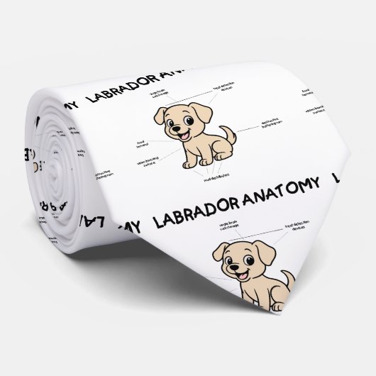 Cravate Yellow Lab Funny Cartoon Anatomy (Roulé)