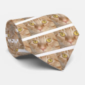 Cravate Yeux de chat Tabby Orange (Roulé)