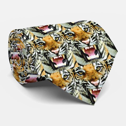 Cravate Yeux du tigre (Roulé)