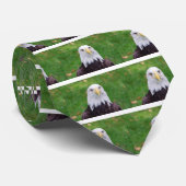Cravate Yeux d'un aigle chauve (Roulé)