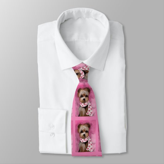 CRAVATE YORKIE (Attaché)