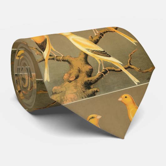 CRAVATE YORKSHIRE LES CANARIES (Roulé)