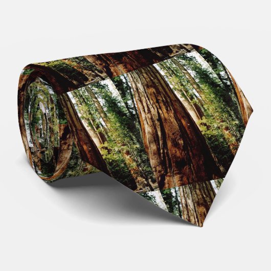 Cravate Yosemite séquoia (Roulé)