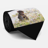 Cravate Young Baboon (Roulé)