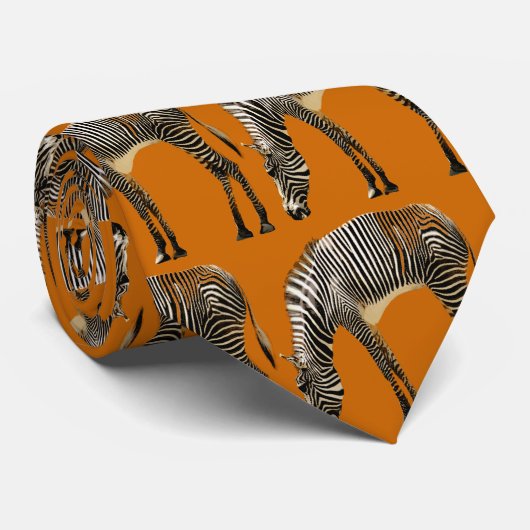 Cravate Zebra Stripes - (Roulé)